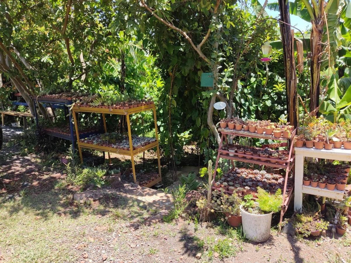 El Buda Poas Extérieur photo
